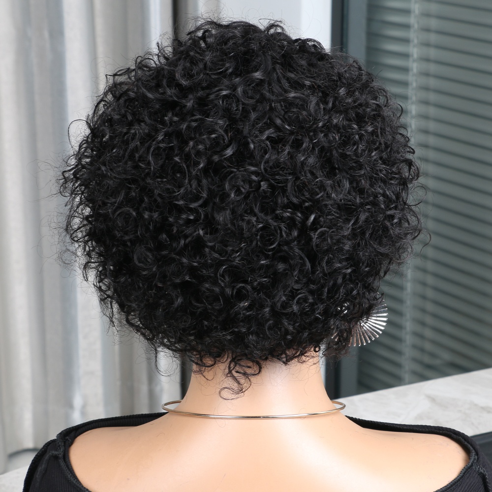 Pixie Cut Wig Human Hair 13x4  - Short Pixie Cut Wig Human Hair Cheap review and price
